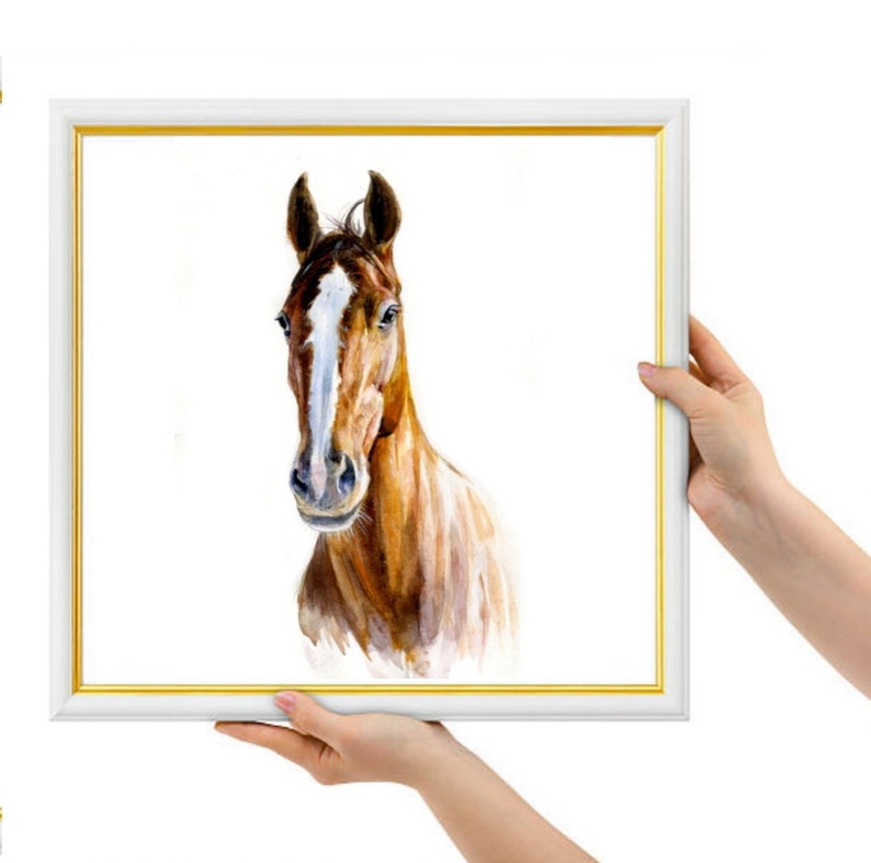 May include: A watercolor painting of a brown horse with a white star on its forehead. The horse is looking directly at the viewer with its head tilted slightly to the side.