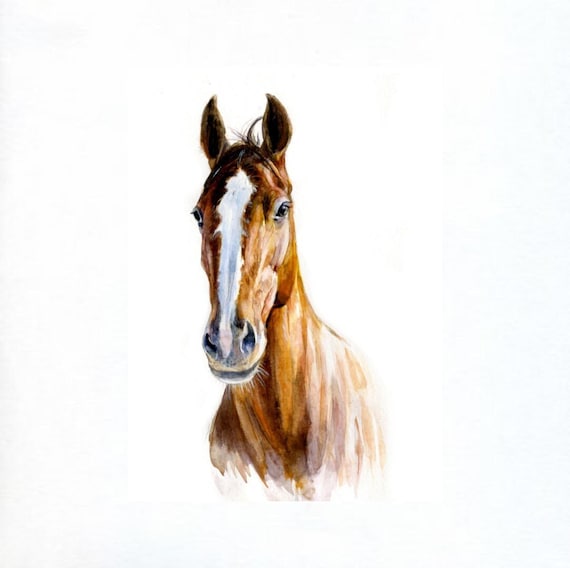 Custom HORSE portrait , horse watercolor painting horse personalized portrait watercolor painting