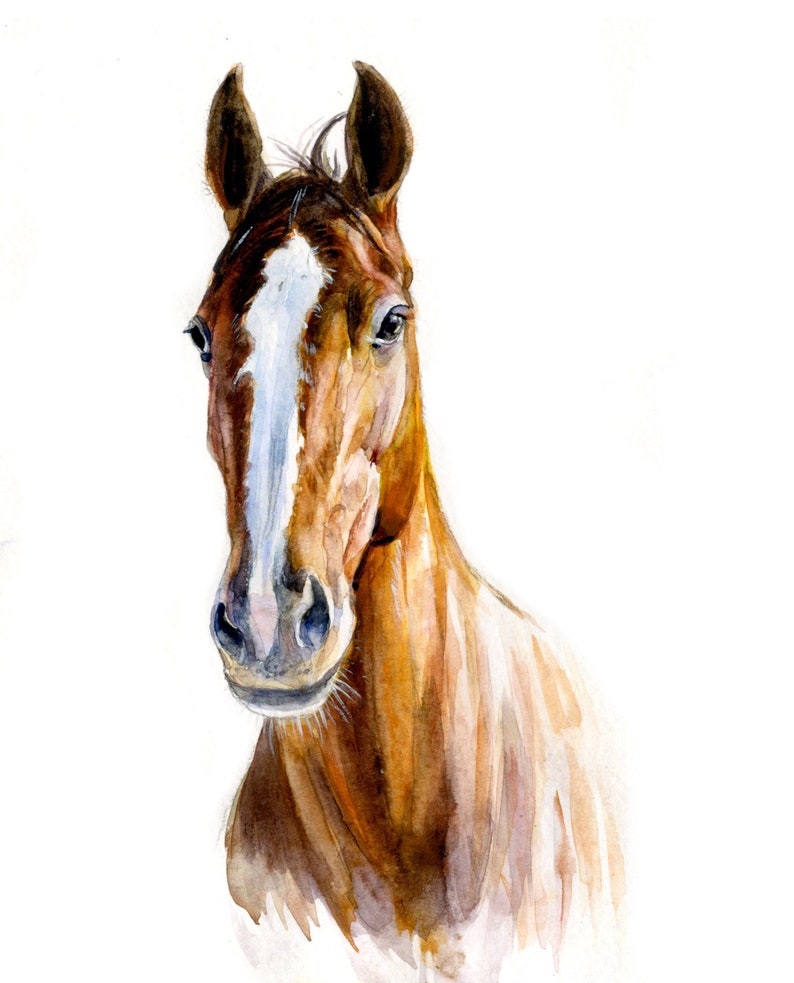 May include: Watercolor painting of a brown horse with a white blaze on its face. The horse is looking directly at the viewer with its head tilted slightly to the side.