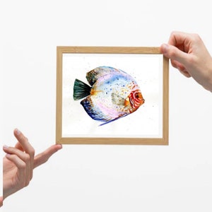 Discus fish original watercolor painting home decor art illustration gift sea lovely fish wall art original handmade collection gift