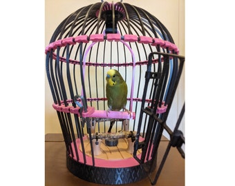 parakeet carrier