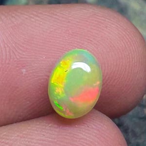 May include: An oval opal gemstone, displaying a play of colour. The stone has a mix of green, yellow, and flashes of orange and red. The opal is held between two fingers, highlighting its polished surface and natural beauty.