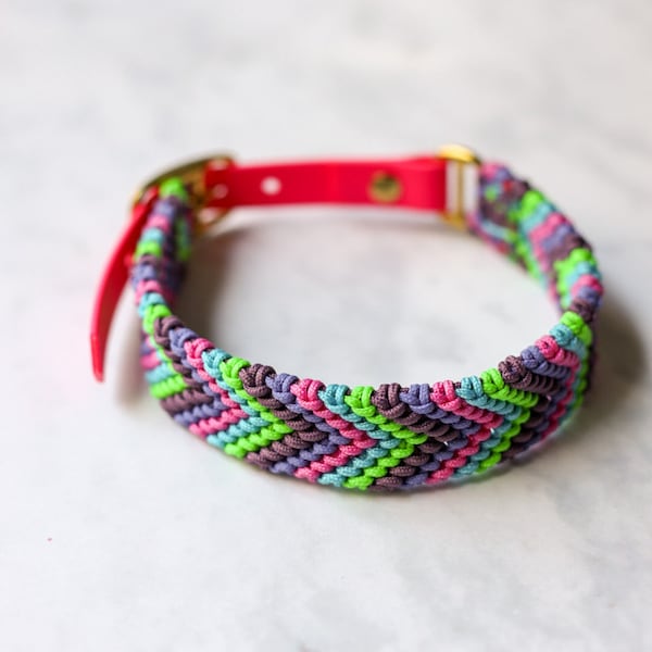 Friendship Dog Collar Etsy