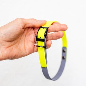 LIZ Biothane Dog Collar Basic | Large color selection | Biothane collar
