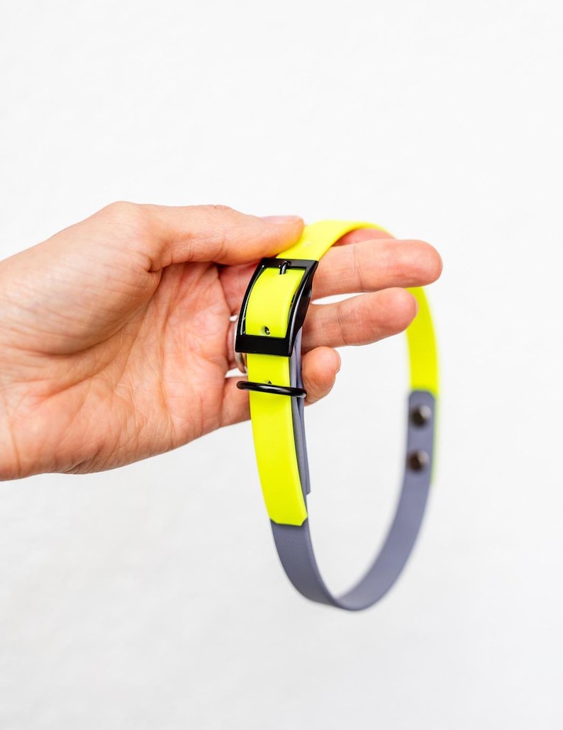 Biothane Hundehalsband