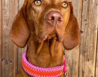 Été - Collier pour chien en paracorde tressée avec adaptateur réglable ou comme arrêt de traction, 3,5 cm ou 4,5 cm de large, collier, chien