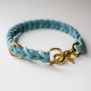 May include: A light blue braided leather dog collar with a gold metal clasp.