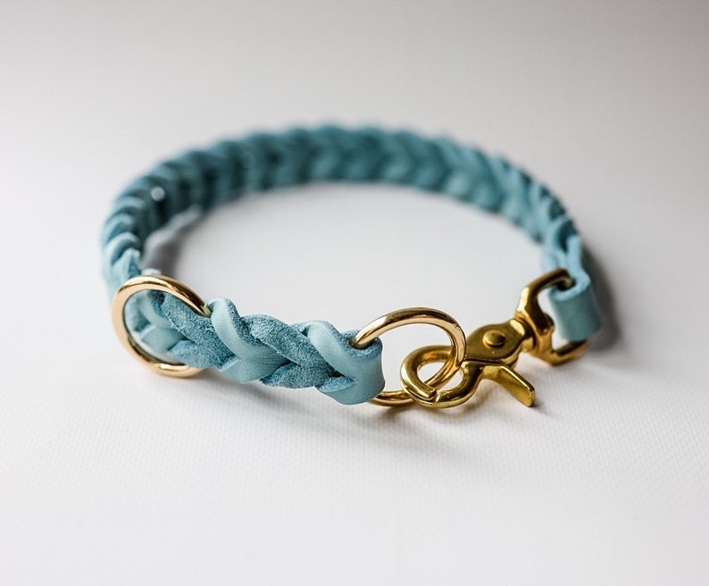 May include: A light blue braided leather dog collar with a gold metal clasp.