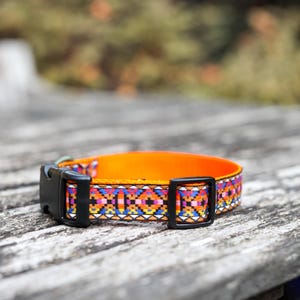 Fabric dog collar 2.5 cm wide, collar, dog, dog accessories