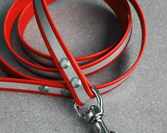 Glow-in-the-Dark BioThane Leash | Reflective Dog Leash | Lead | Various Lengths