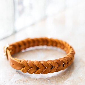 May include: A braided leather dog collar in a light brown color. The collar is made of a thick, durable leather and has a simple, classic design.