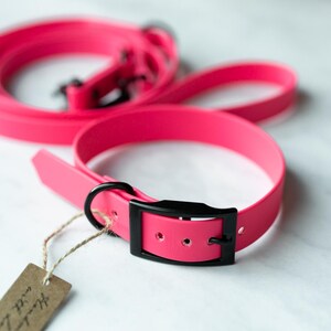 May include: A bright pink dog collar and matching leash set. The collar features a black buckle and a small tag. The leash is coiled in the background. The set is made of a flexible material.