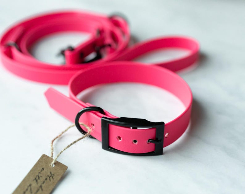 May include: A bright pink dog collar and matching leash set. The collar features a black buckle and a small tag. The leash is coiled in the background. The set is made of a flexible material.
