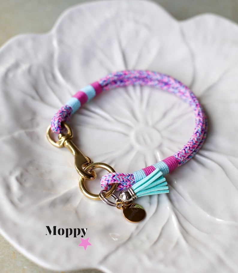 May include: A colorful dog collar with a braided design in shades of pink, purple, and blue. It features a gold-colored clasp and a small, light blue tassel. A gold charm hangs from the collar.