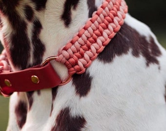 Paracord Halsband, Hundehalsband, Hund, mit Biothane-Adapter oder Zugstopp, eigene Farbwahl