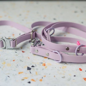 May include: A lavender dog collar and leash set. The collar has a silver metal buckle. The leash has a matching lavender handle and silver hardware. A small tag is attached with pink string.