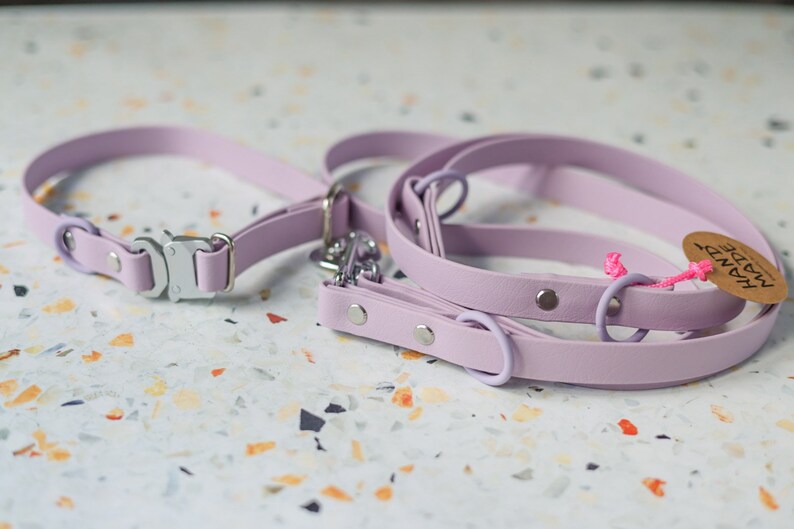 May include: A lavender dog collar and leash set. The collar has a silver metal buckle. The leash has a matching lavender handle and silver hardware. A small tag is attached with pink string.