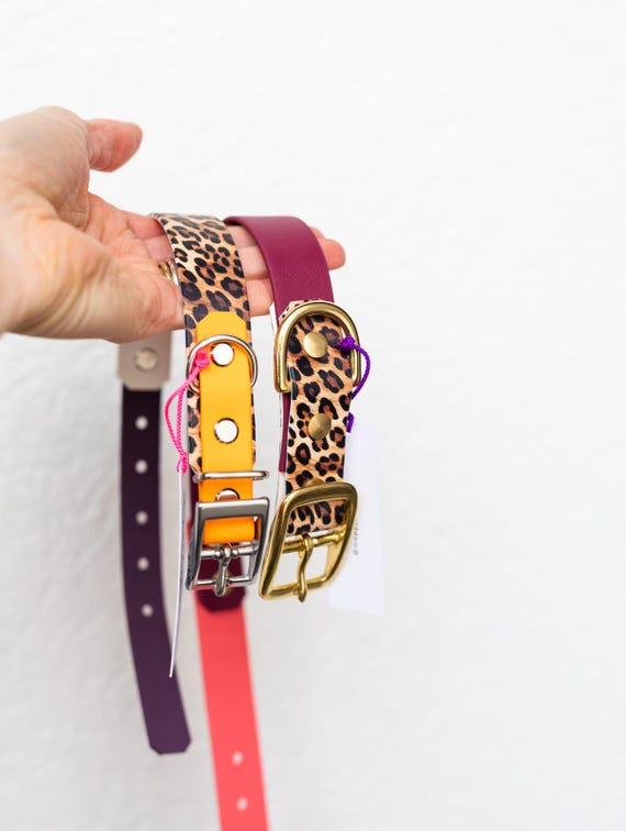 Breites Biothane Halsband, Leo und bunt | Hundehalsband | Hund Halsband | Geschenk Hund