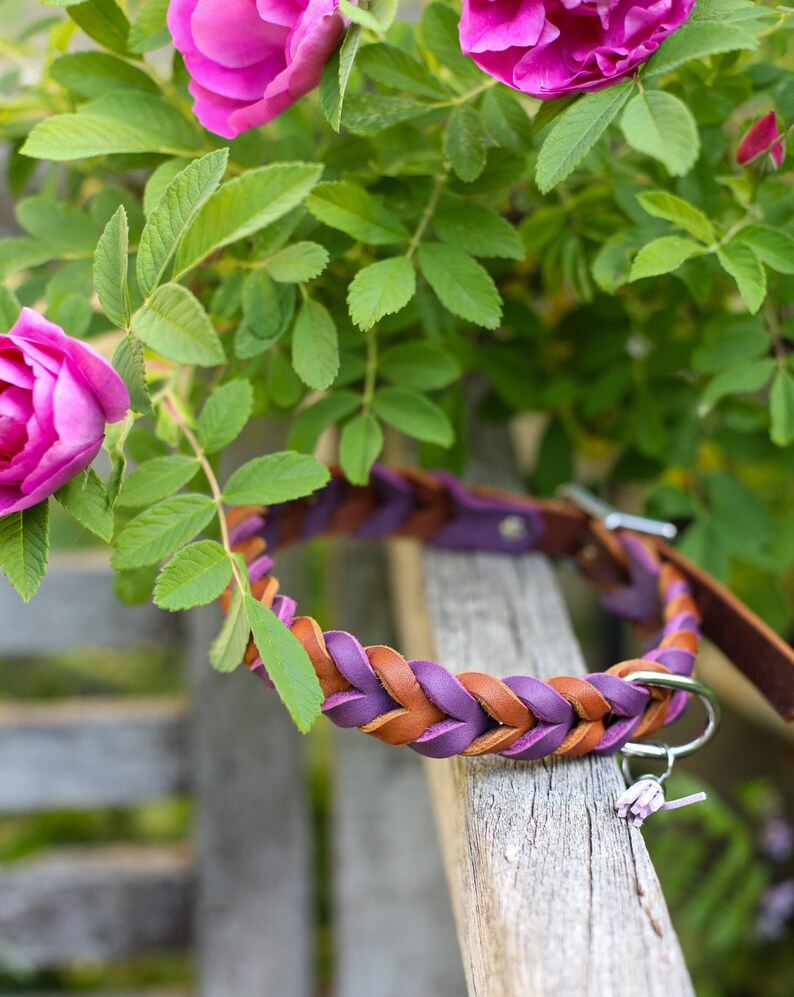 May include: A braided leather dog collar in brown and purple with a silver clasp. The collar is resting on a wooden surface with pink flowers in the background.