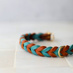 May include: A braided leather dog collar in teal and brown with a gold metal clasp.