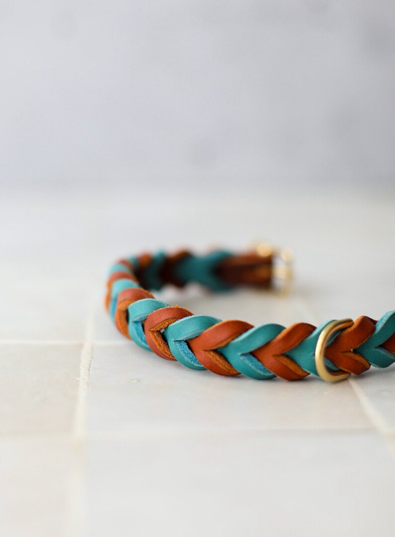 May include: A braided leather dog collar in teal and brown with a gold metal clasp.