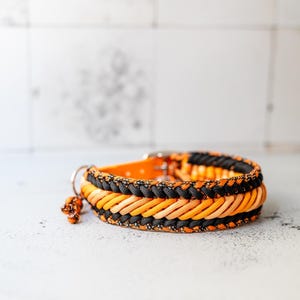 May include: A braided paracord collar featuring alternating rows of black and orange cord. The collar includes a silver-toned metal D-ring for attachment and a small, dangling orange and black speckled charm attached to the side of the band.