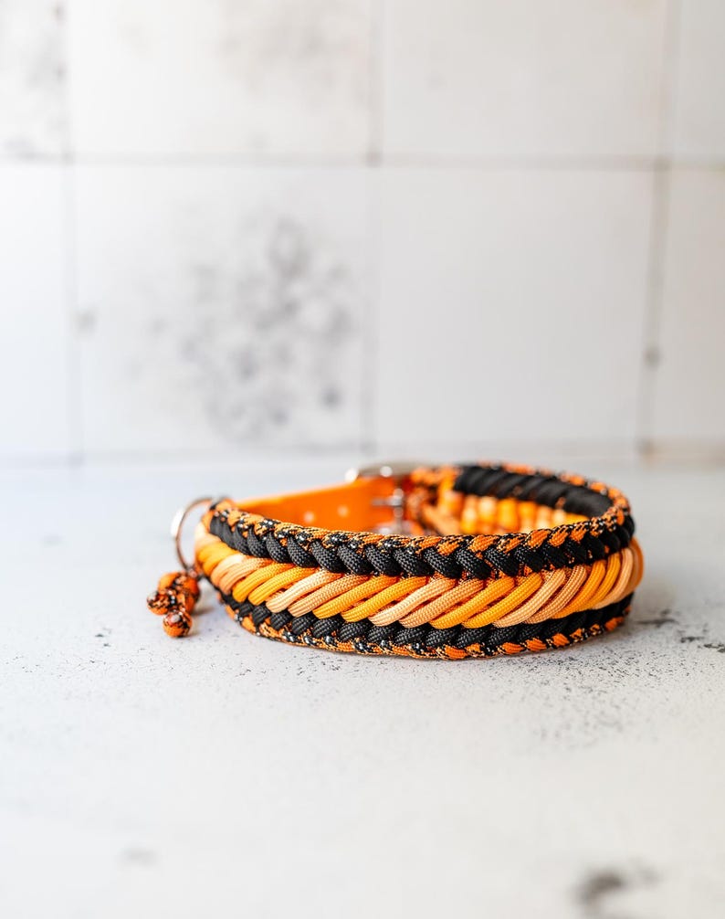 May include: A braided paracord collar featuring alternating rows of black and orange cord. The collar includes a silver-toned metal D-ring for attachment and a small, dangling orange and black speckled charm attached to the side of the band.
