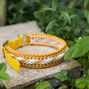 May include: A braided paracord collar featuring a vibrant mustard yellow, soft cream, and light mint green woven pattern. The collar includes a solid mustard yellow leather-like strap end and a polished gold-tone metal buckle and D-ring hardware.