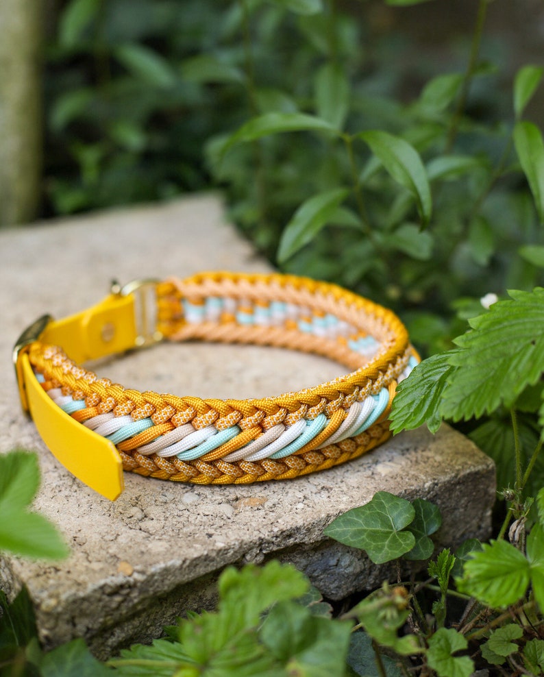 May include: A braided paracord collar featuring a vibrant mustard yellow, soft cream, and light mint green woven pattern. The collar includes a solid mustard yellow leather-like strap end and a polished gold-tone metal buckle and D-ring hardware.