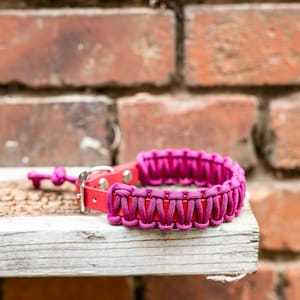 BioThane collar with paracord | 28-33 cm | Original BioThane from the USA