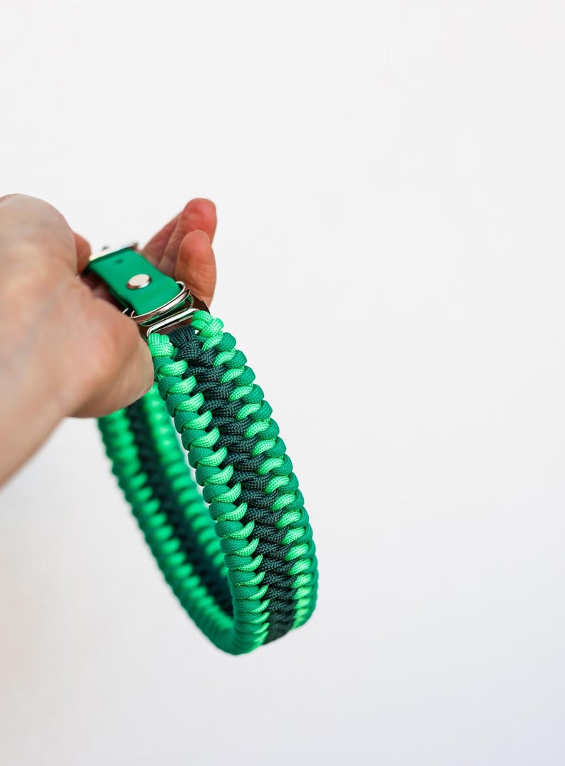 May include: A green and dark green braided dog collar with a silver buckle and green leather strap. The collar is held in a hand against a white background. The collar is approximately 1.5 inches wide.