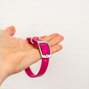Biothane Hundehalsband
