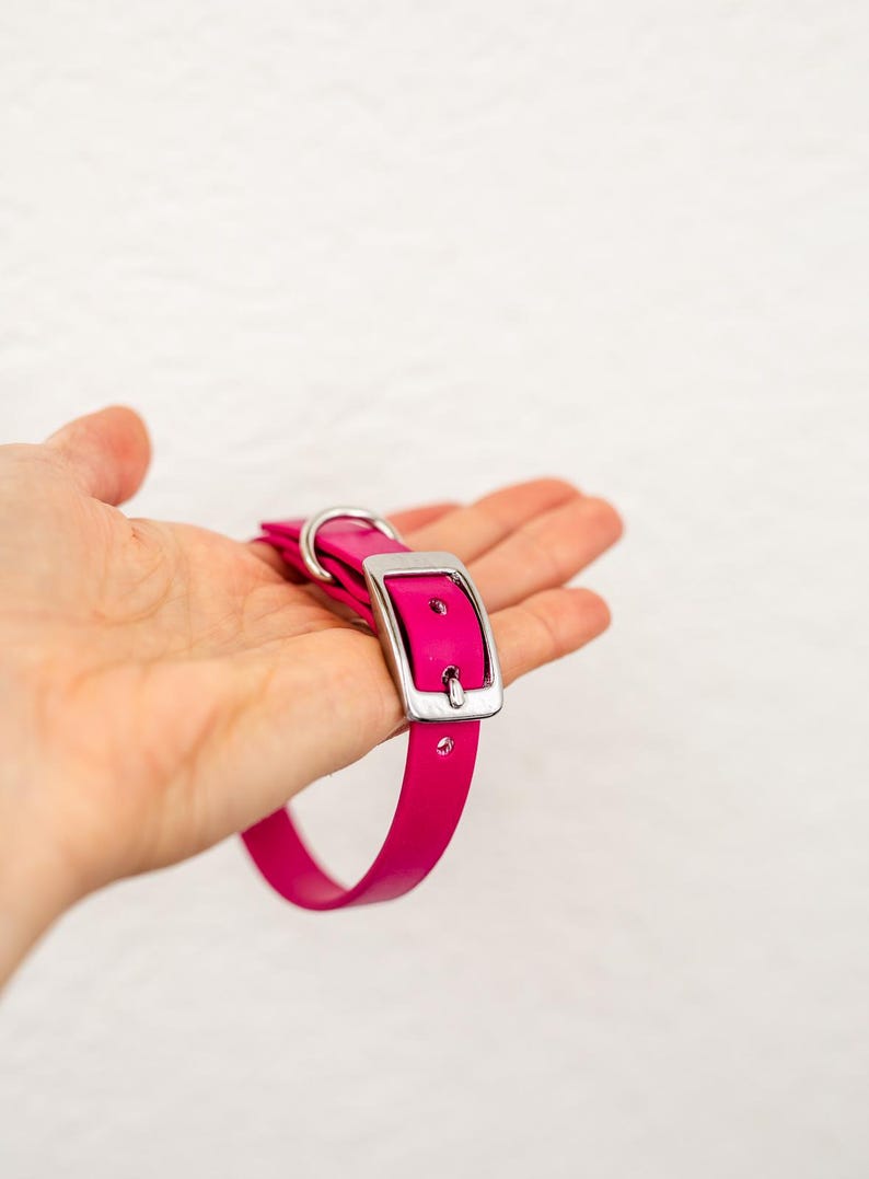 Biothane Hundehalsband