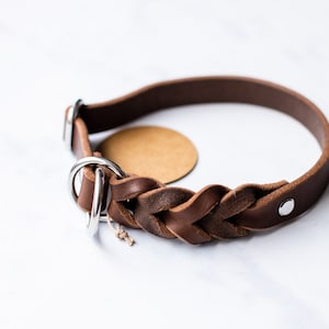 MILA pull stop collar made of greased leather | Dog collar | Dog collar | Gift dog