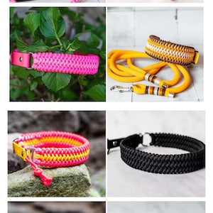 May include: A collection of colorful, braided dog collars and a matching leash. The collars feature various color combinations, including pink, green, yellow, and black. Each collar has a metal clasp and a loop for attaching a leash.