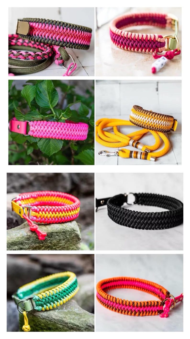 May include: A collection of colorful, braided dog collars and a matching leash. The collars feature various color combinations, including pink, green, yellow, and black. Each collar has a metal clasp and a loop for attaching a leash.