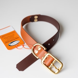 May include: A two-tone dog collar with a brown interior and a tan exterior. The collar features a gold-colored buckle and rivets. An orange tag is attached to the collar with an orange string.