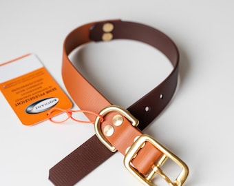 LIZ Biothane Dog Collar | Wide Selection of Colors | Biothane Collar