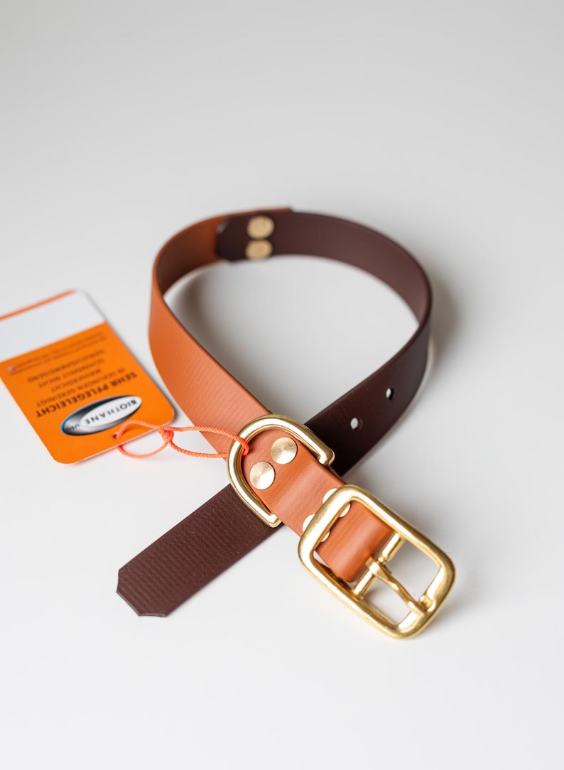 May include: A two-tone dog collar with a brown interior and a tan exterior. The collar features a gold-colored buckle and rivets. An orange tag is attached to the collar with an orange string.