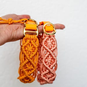 Macrame dog collar made of paracord, collar, dog, boho dog collar,