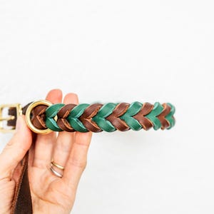 ROSI | braided leather dog collar in many beautiful colors | fat leather collar | dog | gift dog, adjustable or fixed