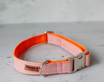 Fabric dog collar, collar, dog, dog accessories
