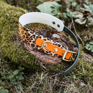 Wide Biothane collar | Dog collar | Dog collar | Gift dog