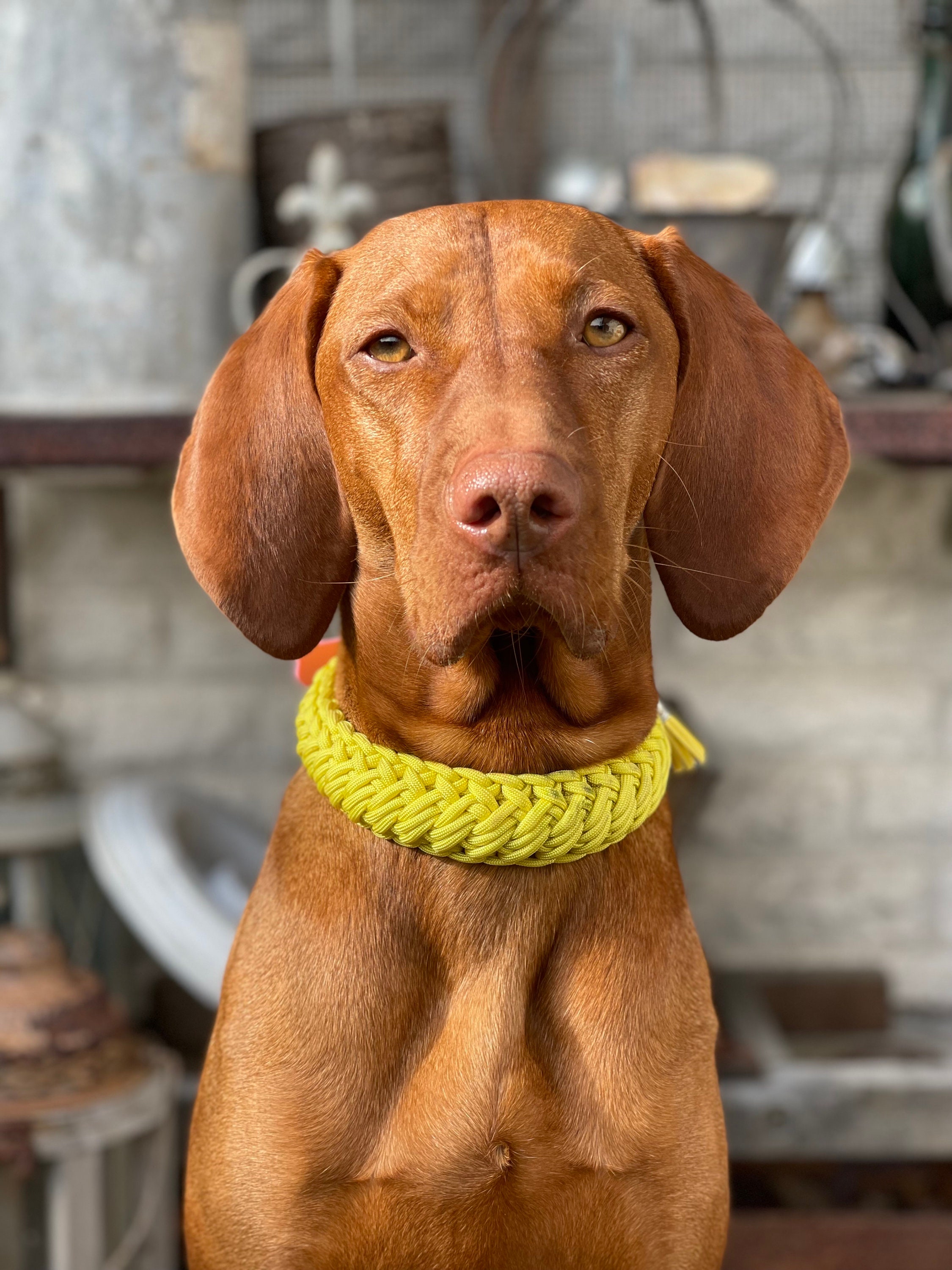 RUBY - Braided Paracord Dog Collar with Adjustable Adapter or Pull Stop, 2.5 cm or 3.5 cm Width, Collar, Dog