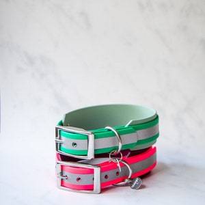 Highly reflective Biothane dog collar | double-barreled, 38 mm wide, safety collar, neon colors | collar