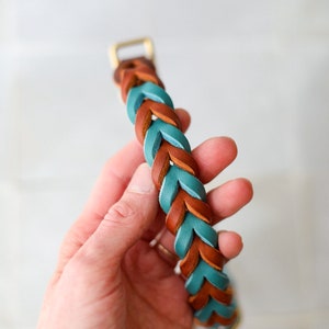 May include: A braided leather dog collar in teal and brown with a gold metal buckle.