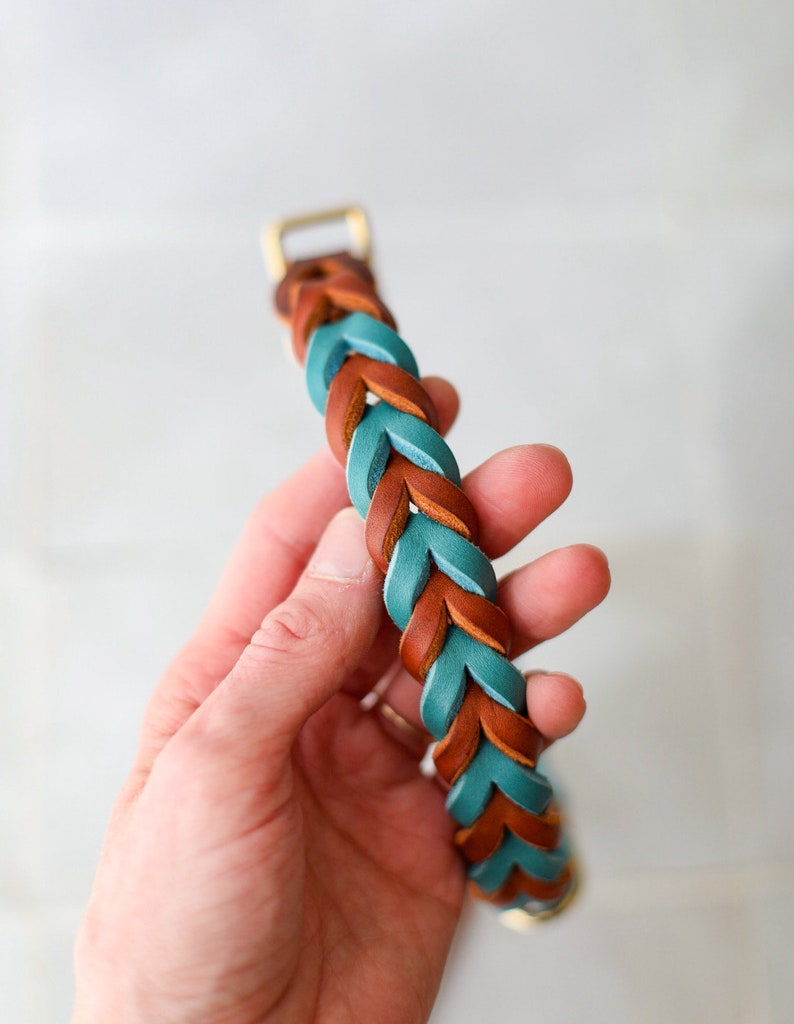 May include: A braided leather dog collar in teal and brown with a gold metal buckle.