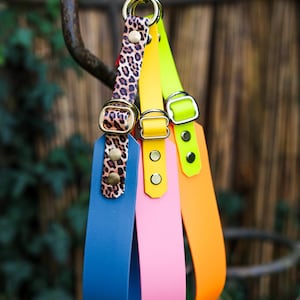 Colorful Biothane choke collars | Dog collar | Dog collar | Gift dog