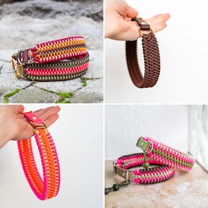 May include: A collection of colorful dog collars. The collars are made of woven cord in various colors, including pink, orange, brown, and green. Each collar has a metal buckle and D-ring for leash attachment. The collars are displayed on a stone surface and held by a hand.