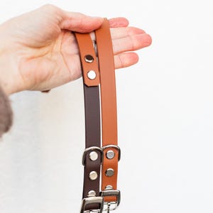 May include: Two leather dog collars, one brown and one tan, are held up against a white background. Each collar has a silver buckle and matching silver rivets. The collars are made of a smooth, solid material.